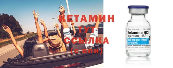 трава Бородино