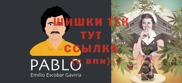 трава Бородино