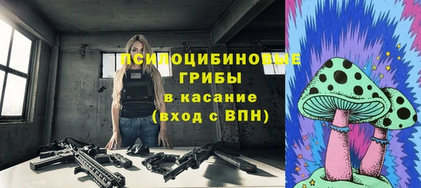 трава Бородино