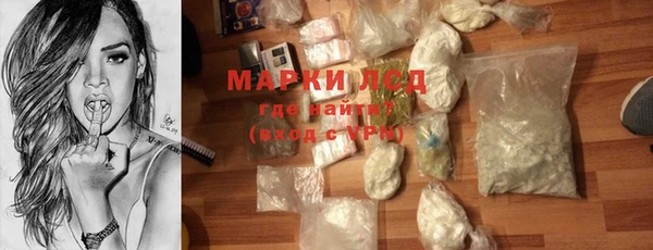 трава Бородино