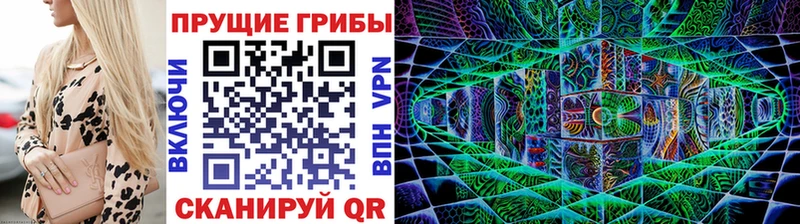 shop состав  Наволоки  Галлюциногенные грибы Magic Shrooms 